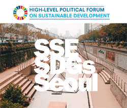 Localizing the SDGs through Social and Solidarity Economy for Sustainable and Resilient Societies—An Official Side Event of the 2018 High-Level Political Forum on Sustainable Development