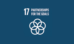 SDG 17: Transformative Partnerships?