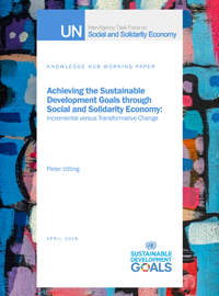 Achieving the Sustainable Development Goals through Social and Solidarity Economy: Incremental versus Transformative Change