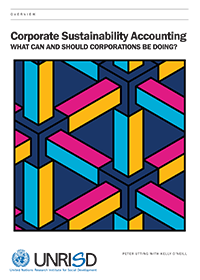 Corporate Sustainability Accounting: What Can and Should Corporations Be Doing?—Full Report